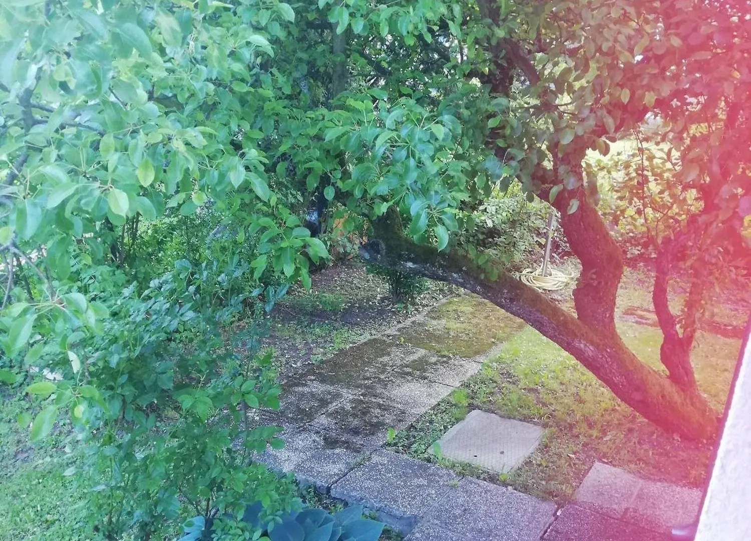Room In House - Charming Vienna Retreat With Garden Metro Access