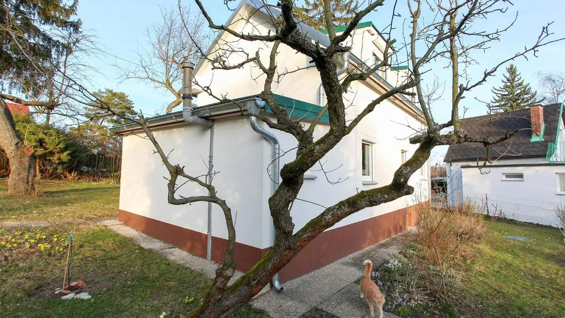 Maison d'hôtes Room In House - Charming Vienna Retreat With Garden Metro Access